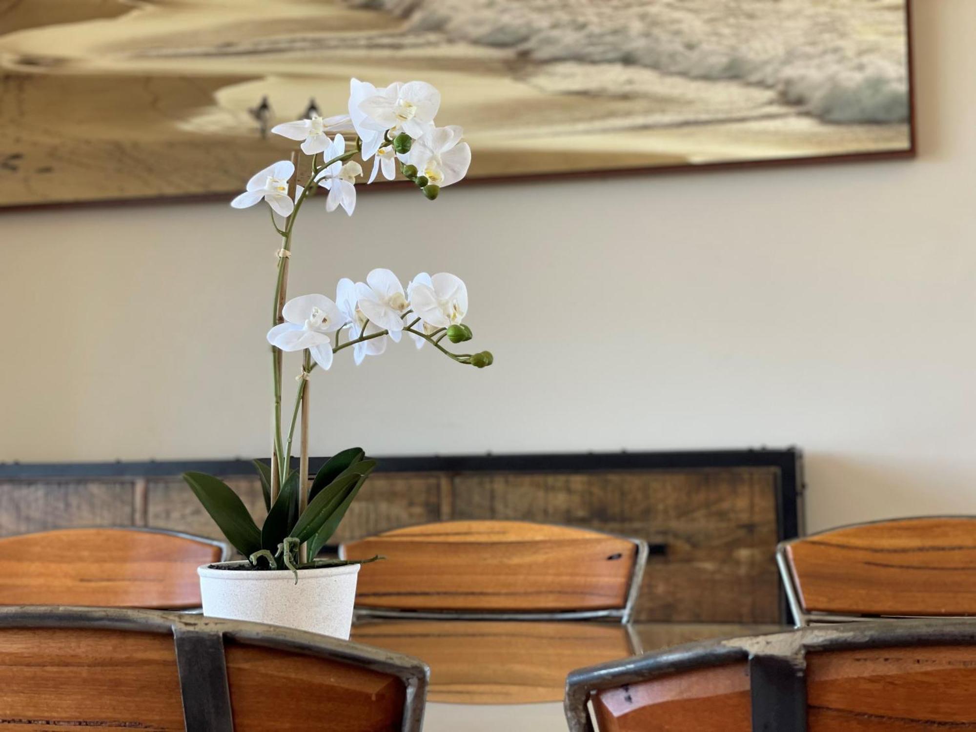 Barwon Heads Resort Zimmer foto